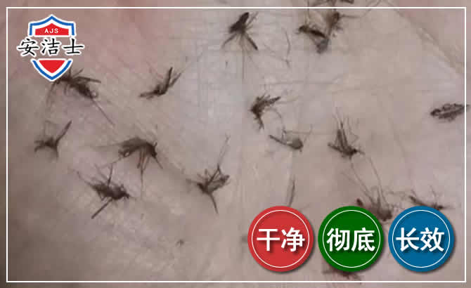 三沙蚊子防治-灭蚊