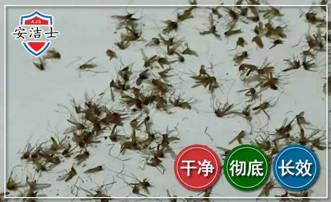 三沙苍蝇防治-灭蝇