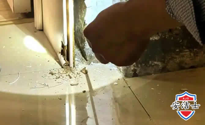 三沙房屋建筑防治白蚁