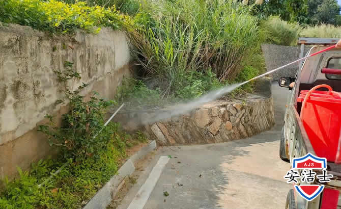 三沙道路堤坝白蚁防治