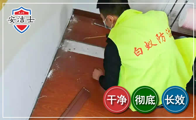 三沙除四害现场