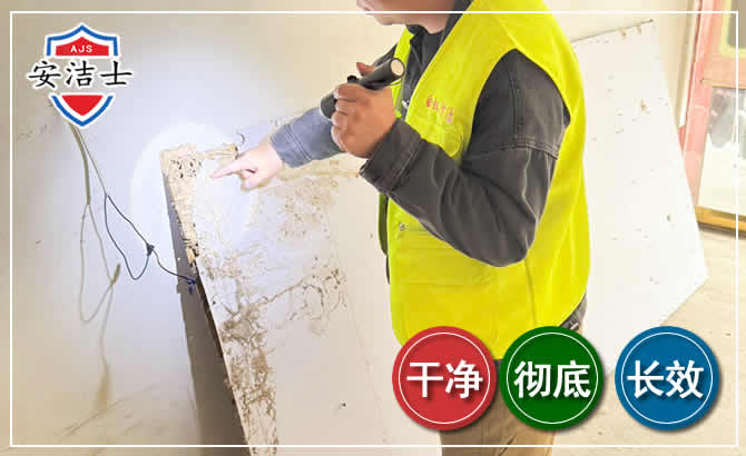 三沙除白蚁现场