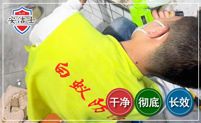 三沙白蚁根治现场